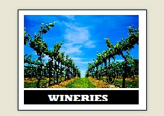 wineries.jpg